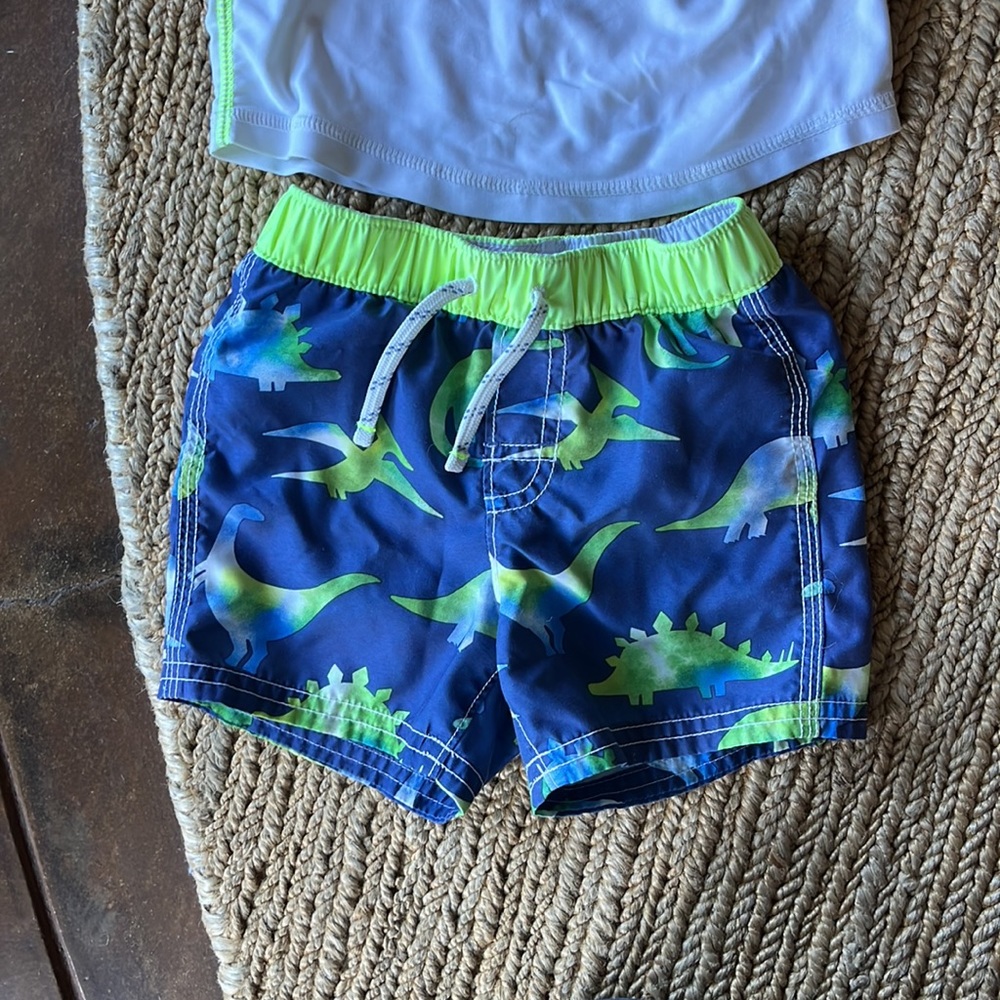 Dinosaur Rash Guard Swimsuit - Picture 3 of 4